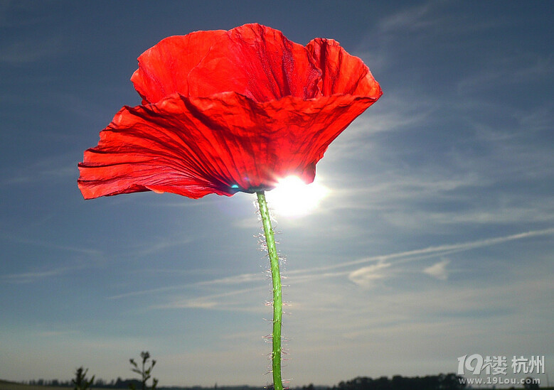 女人如何内养外调让自己更健康(十)-健康杂谈-