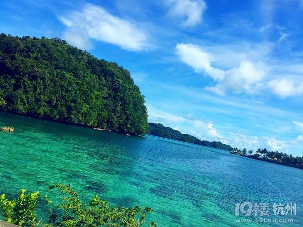 Hi Palau