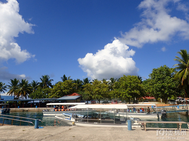Hi Palau