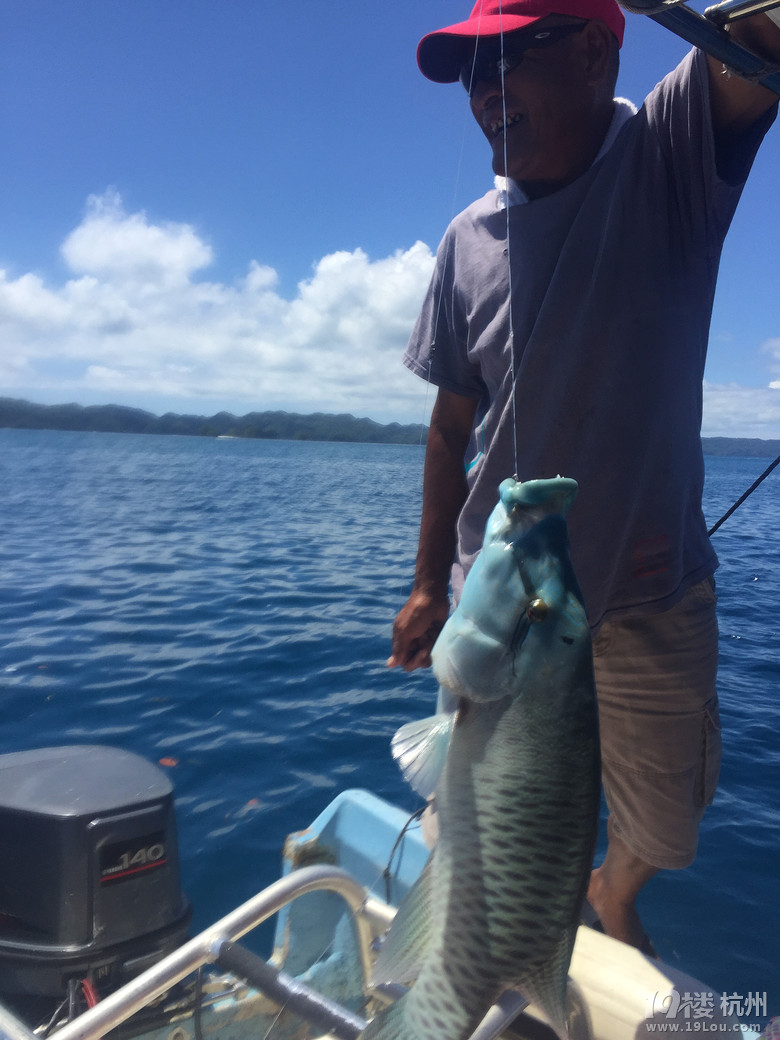 Hi Palau