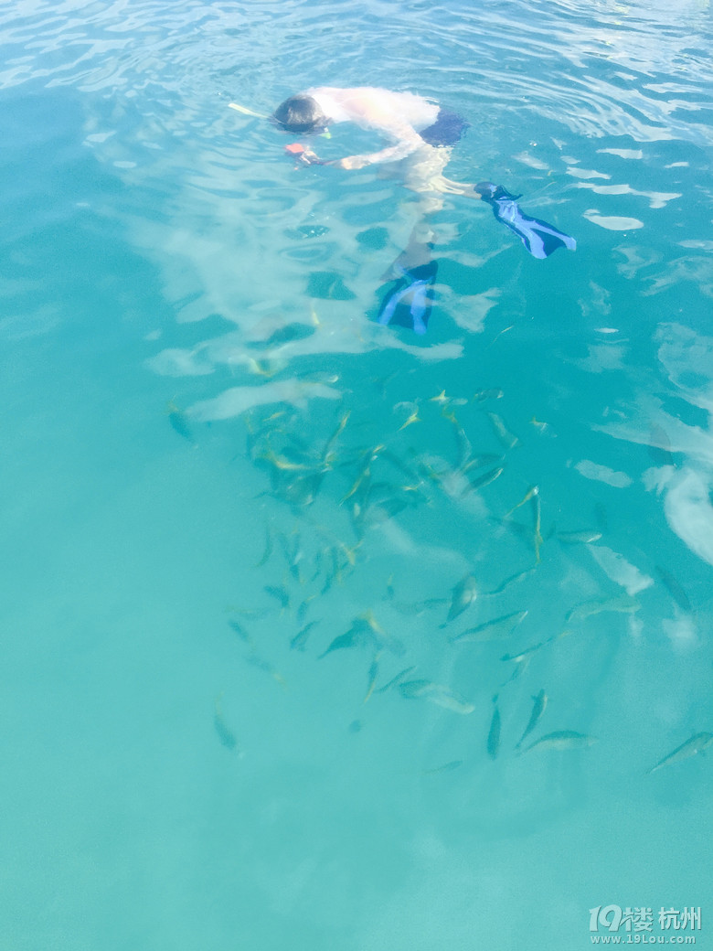 Hi Palau