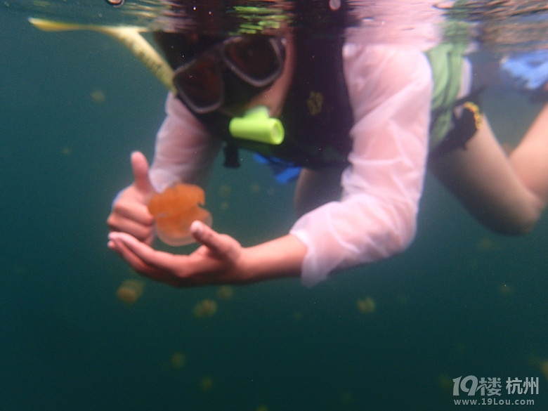 Hi Palau