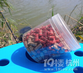 七里海钓鱼