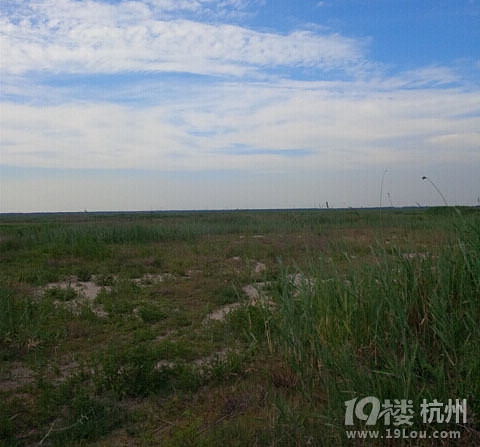 七里海钓鱼