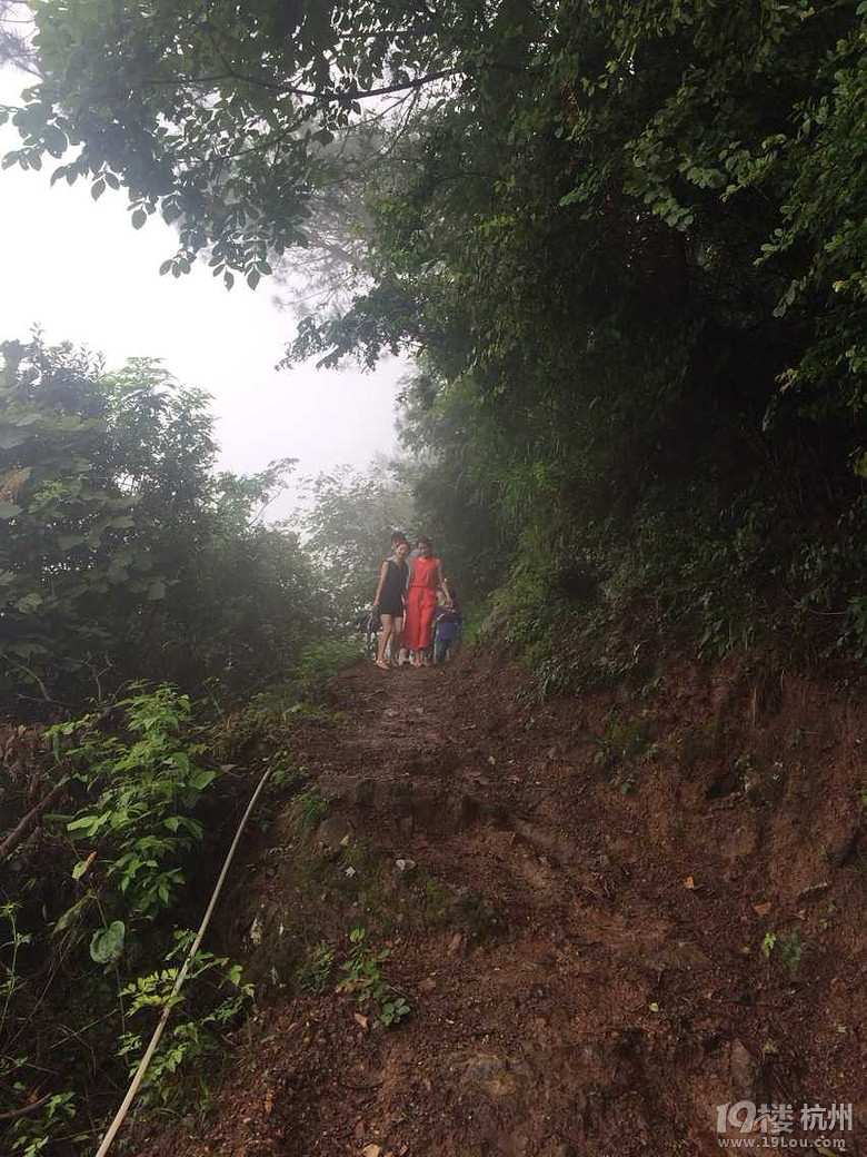 【葉琪農(nóng)莊免費(fèi)試玩】+千島湖二次游