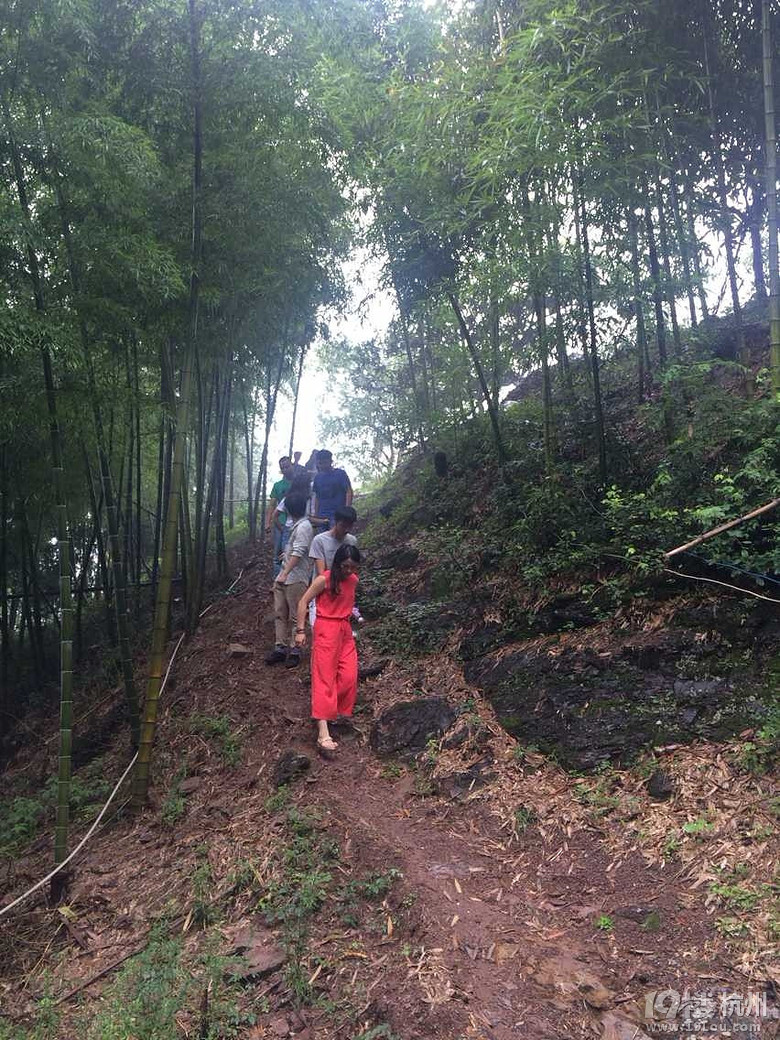 【葉琪農(nóng)莊免費(fèi)試玩】+千島湖二次游