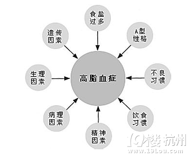 高血脂吃什么药？从健康出发寻医问诊