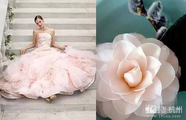 婚紗還沒(méi)有挑好,怎么能挑好未來(lái)老公?