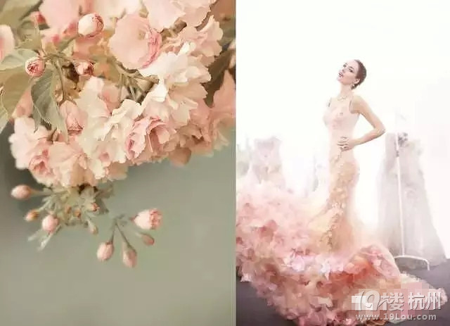 婚紗還沒(méi)有挑好,怎么能挑好未來(lái)老公?