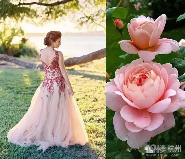 婚紗還沒(méi)有挑好,怎么能挑好未來(lái)老公?