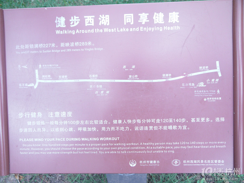 漫步杭州西湖断桥白堤苏堤一日行