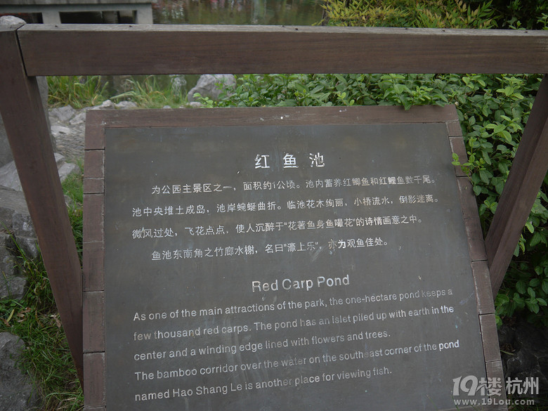 漫步杭州西湖断桥白堤苏堤一日行