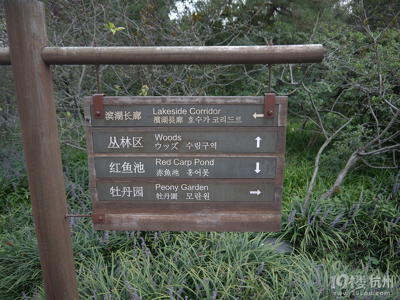 漫步杭州西湖断桥白堤苏堤一日行