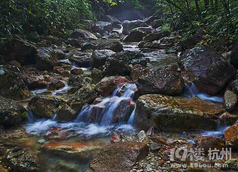 【浙江8大高山隐居地】人烟稀少享清凉
