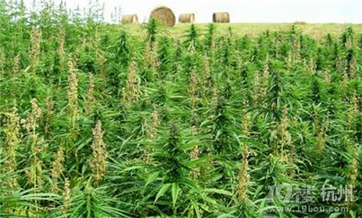 世界上最奇葩的10個大學專業(yè)