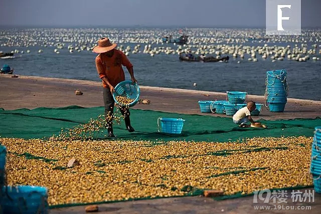 这些美丽的海岛，不在东南亚，不在夏威夷，统统在国内！