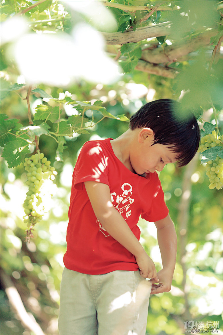 《爸3》诺一夏天葡萄园上演偶像剧