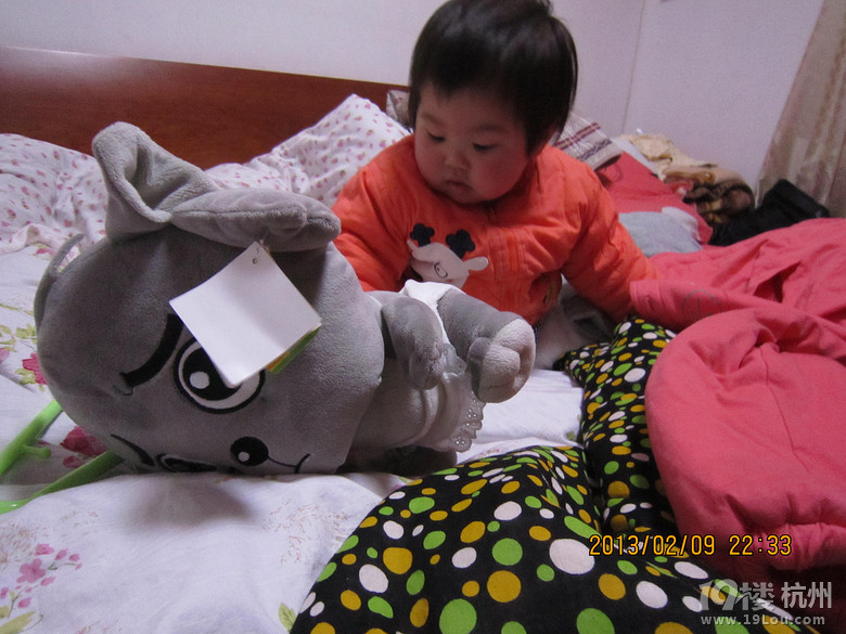 小灰灰不哭,我带你去打蛋蛋