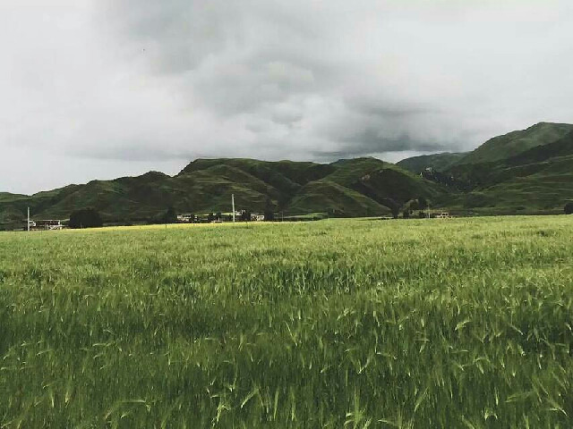 每个人都是一座孤岛,独自在海上飘飘摇摇,-手机