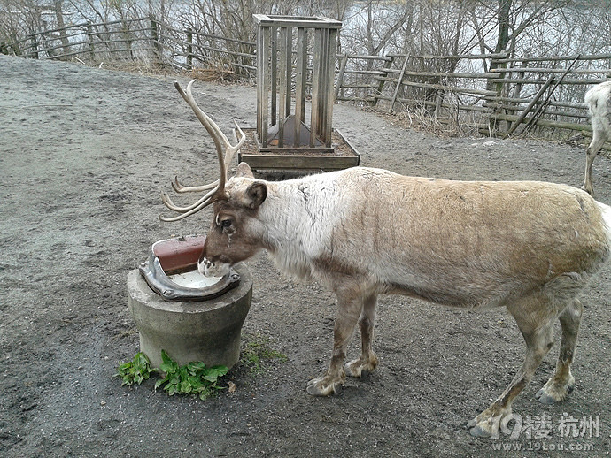 2015괺С-˹¸砖Ħ