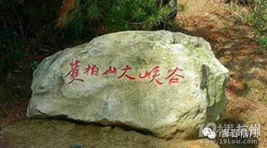 最美時節(jié),自駕暢游豫南行!