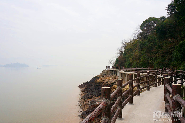 奉化莼湖出海一日游