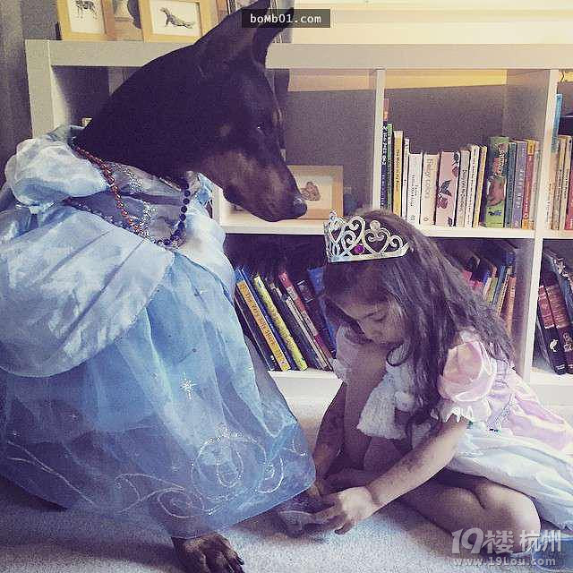 3歲女兒和杜賓犬的生活照 他們的互動感覺好幸福