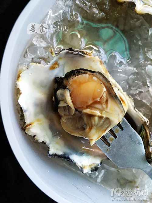 【5隊】歡喜茶樓、贊客餐廳、海洋生活生鮮宅送