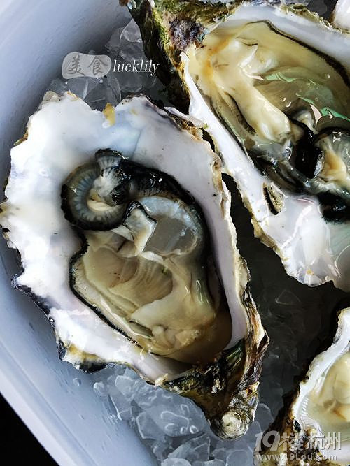 【5隊】歡喜茶樓、贊客餐廳、海洋生活生鮮宅送