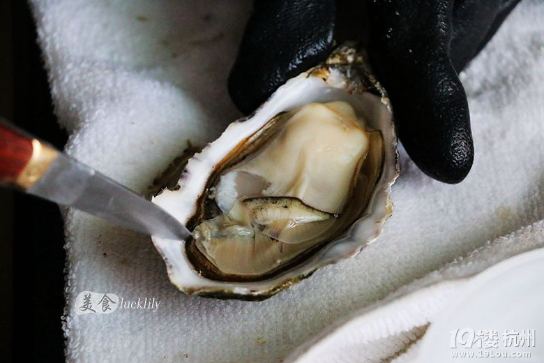 【5隊】歡喜茶樓、贊客餐廳、海洋生活生鮮宅送