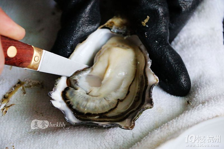 【5隊】歡喜茶樓、贊客餐廳、海洋生活生鮮宅送