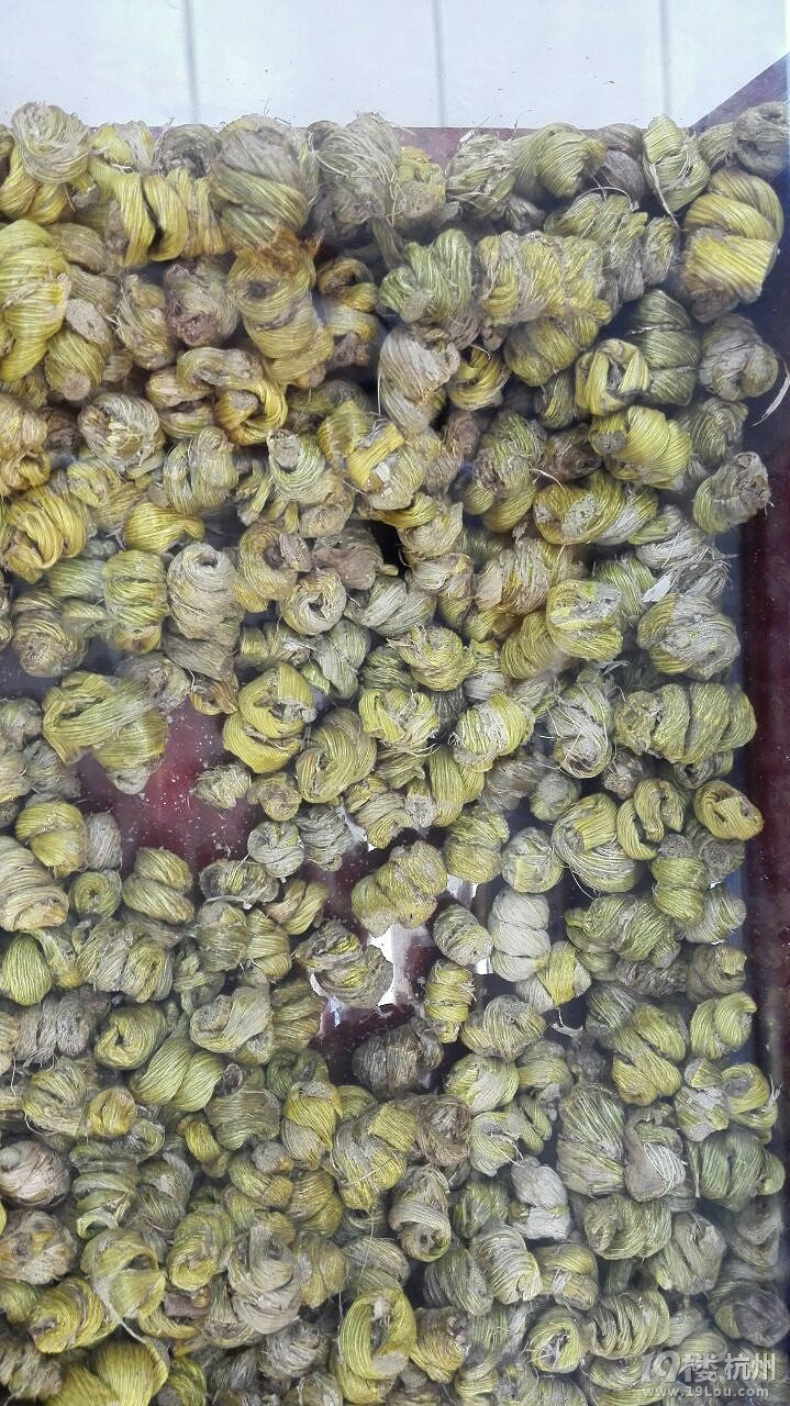 简单分辨铁皮石斛与紫皮石斛、水草石斛,别再上当了