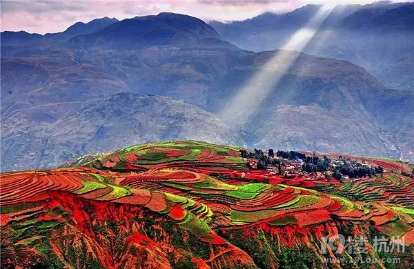 全国各地最美秋景，今年别再去错地方了！