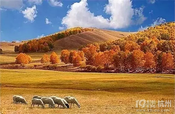 全国各地最美秋景，今年别再去错地方了！