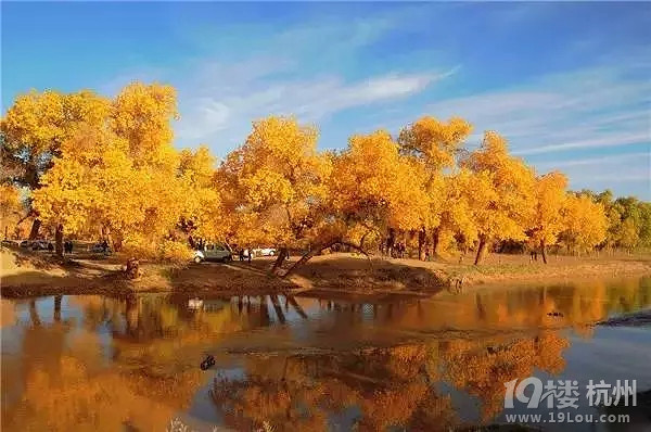 全国各地最美秋景，今年别再去错地方了！