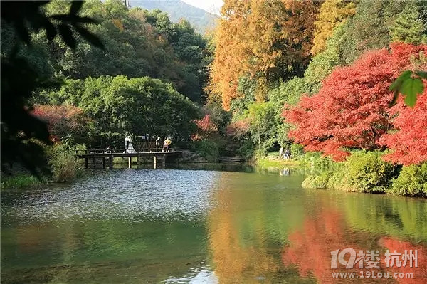 全国各地最美秋景，今年别再去错地方了！