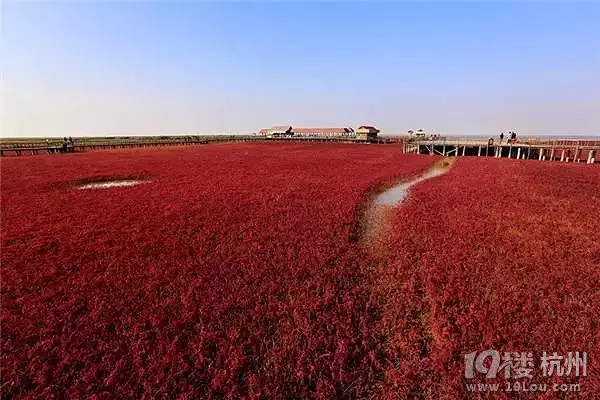 全国各地最美秋景，今年别再去错地方了！
