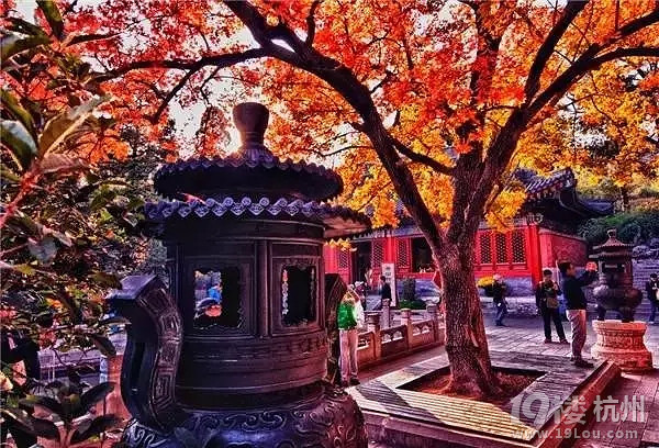 全国各地最美秋景，今年别再去错地方了！