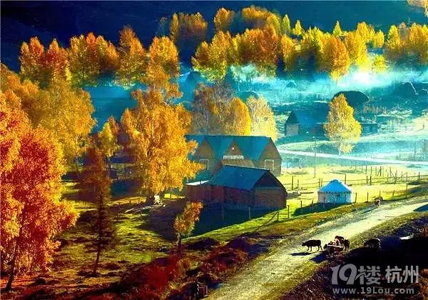 全国各地最美秋景，今年别再去错地方了！