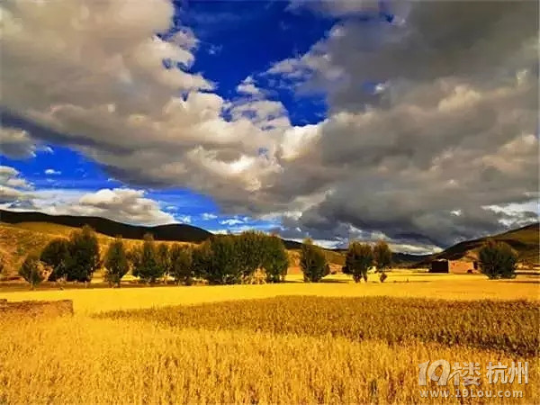全国各地最美秋景，今年别再去错地方了！