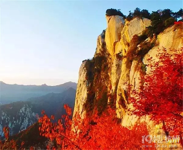 全国各地最美秋景，今年别再去错地方了！