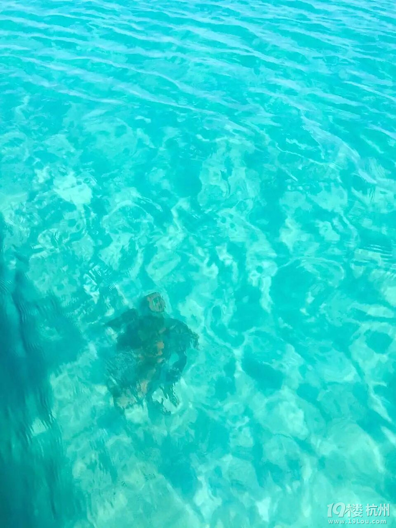ゃoxİĴ