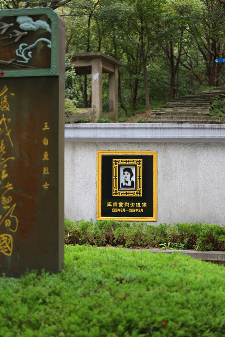 纪念一江山岛解放