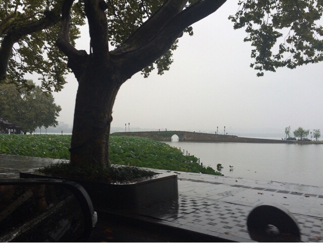 雨天的西湖好美!-手机随手拍-杭州19楼