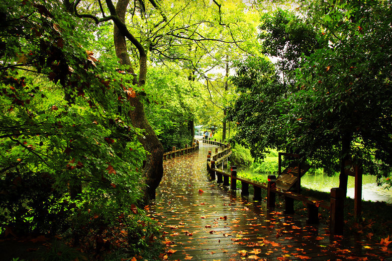 点点秋雨,丝丝落寞