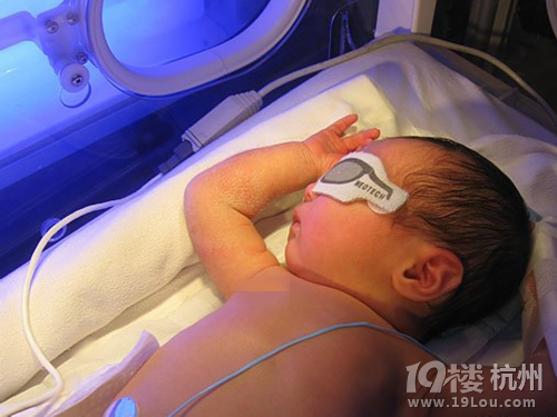 谁说新生儿黄疸不能喝母乳！转给她看！