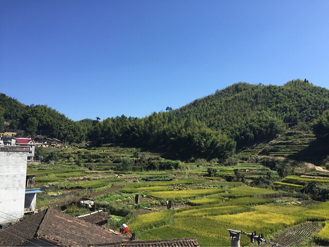 我的家乡,美丽的小吉村