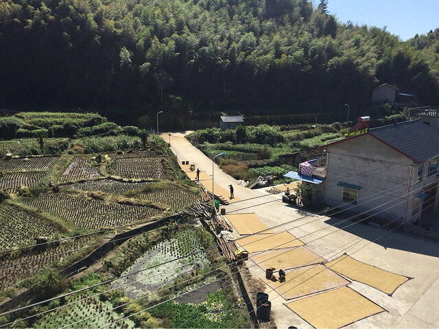 我的家乡,美丽的小吉村