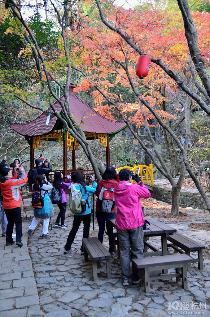 10月18号 媲美江西庐山 江南第一山 重走蒋公道