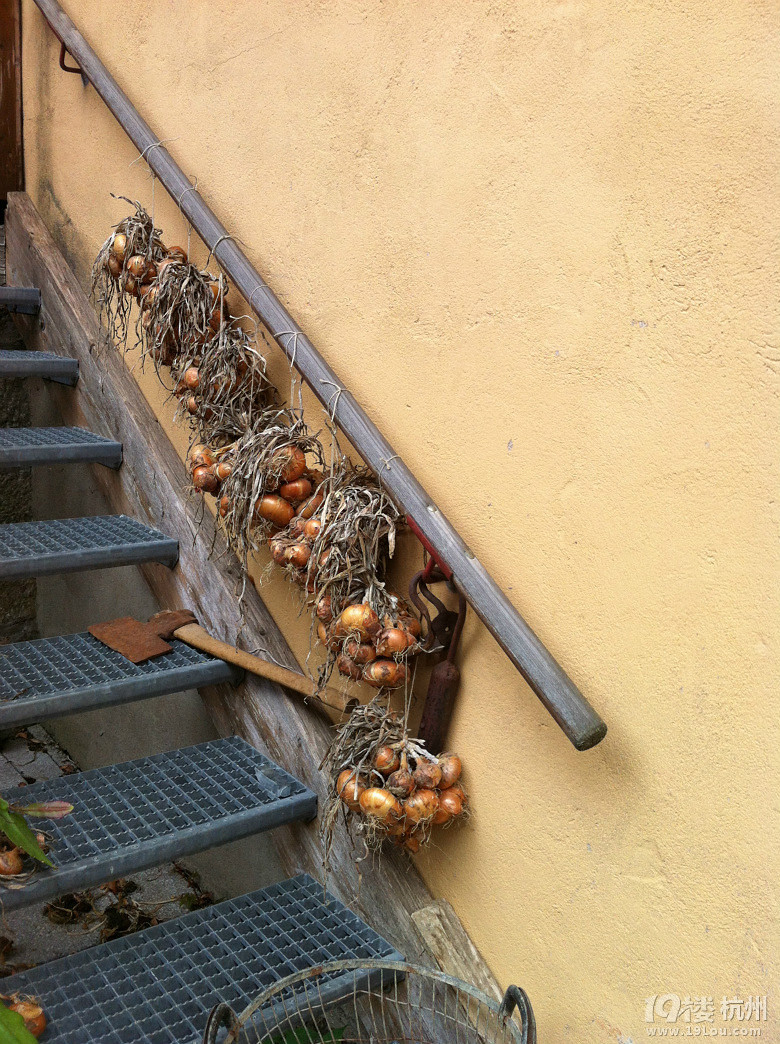 _v Rothenburg ob der Tauberꮅ